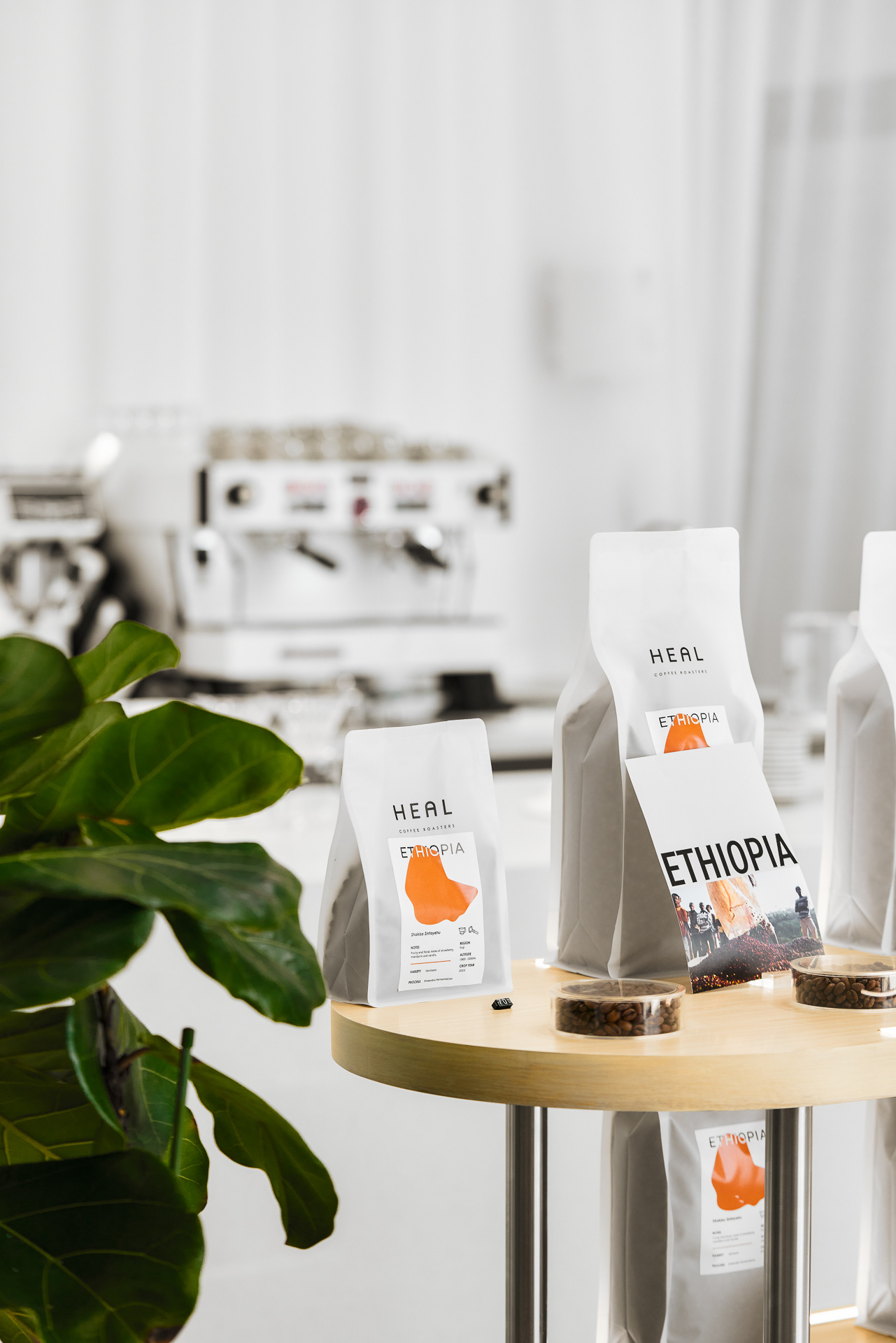 治愈咖啡烘焙工坊·迪拜丨阿联酋迪拜-53