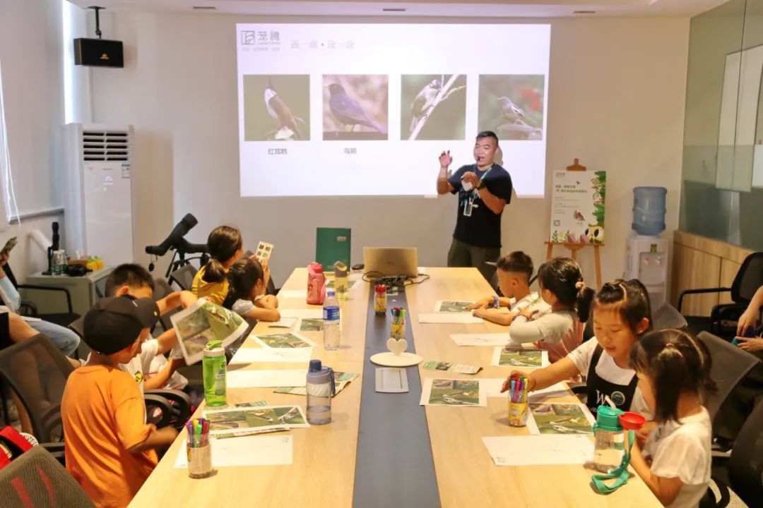 茏腾·探秘自然·鸟类涂鸦之旅-22