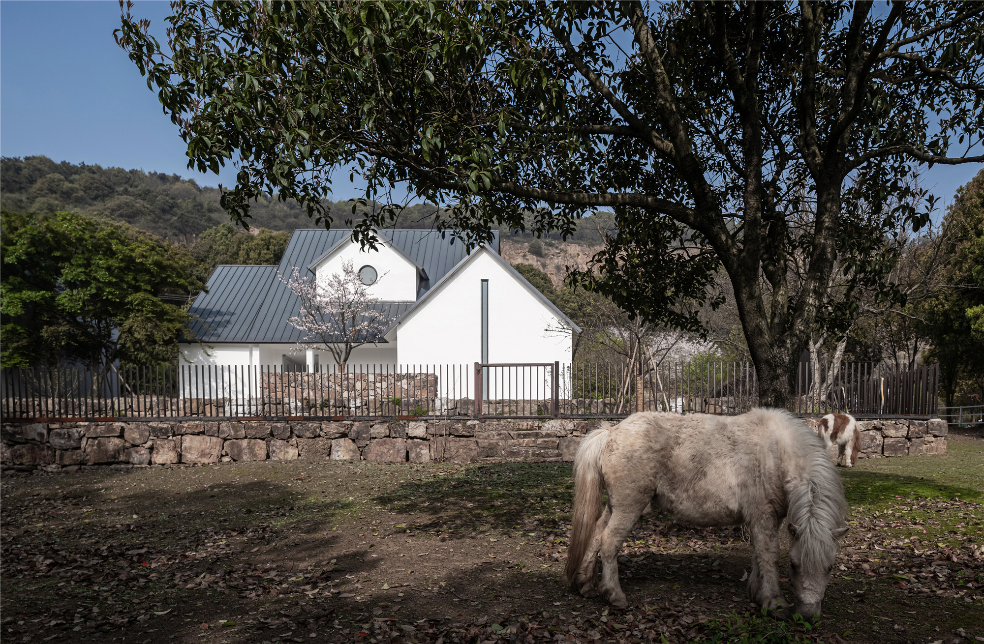 JCD· 办公空间丨中国江苏丨精成空间设计-11