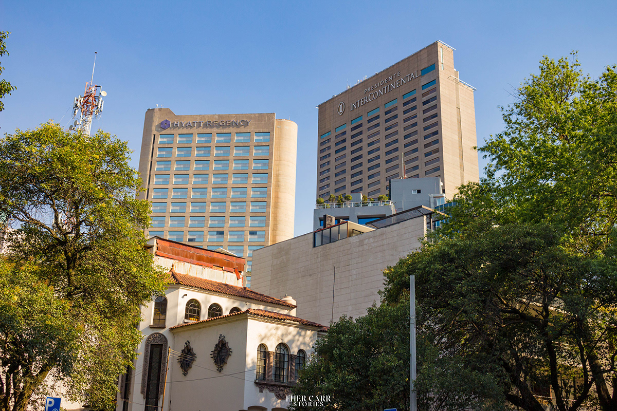 都市中的绿肺 · 林肯公园的艺术与自然-10