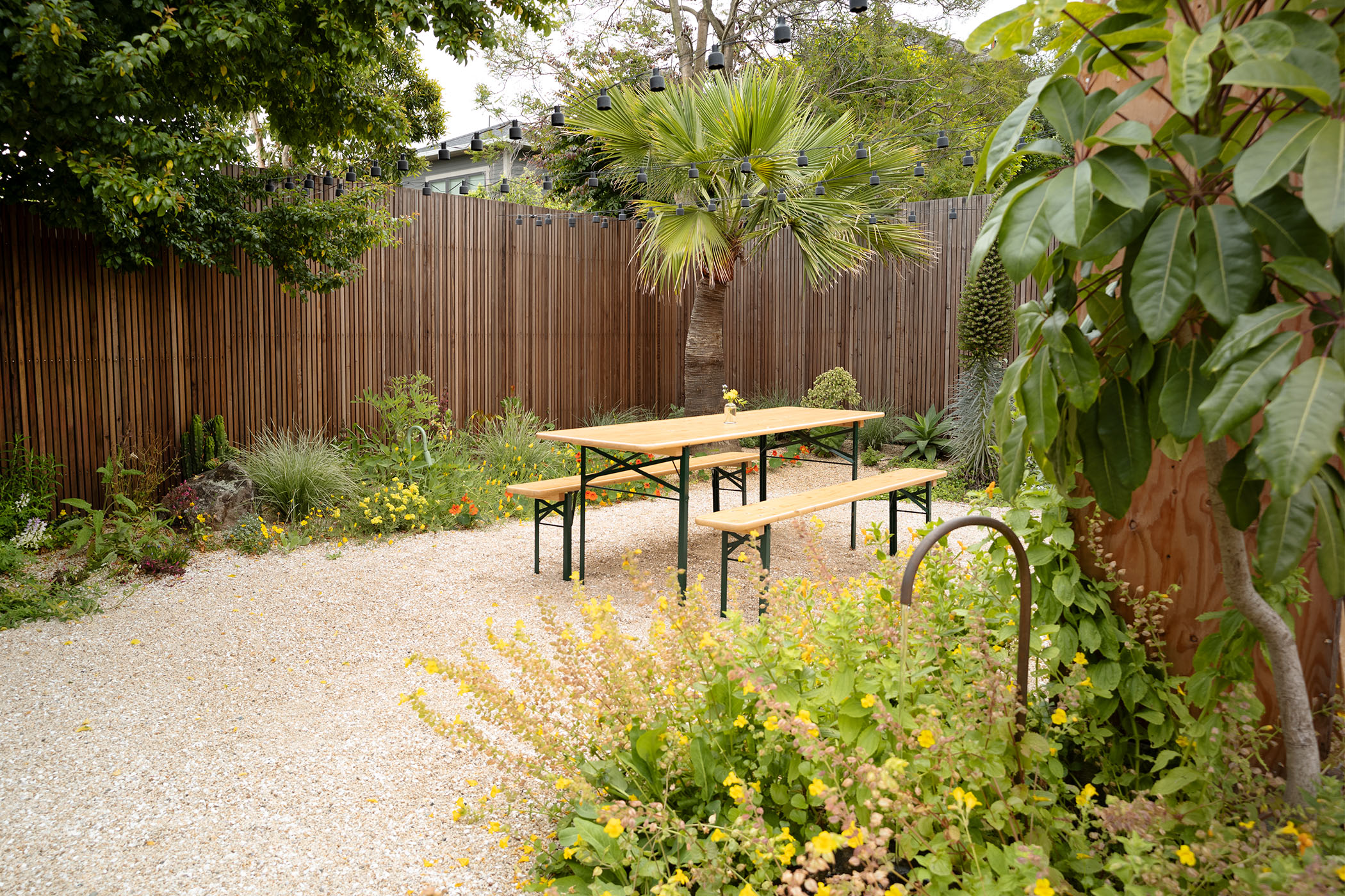 身边风景 | Soft Studio-25