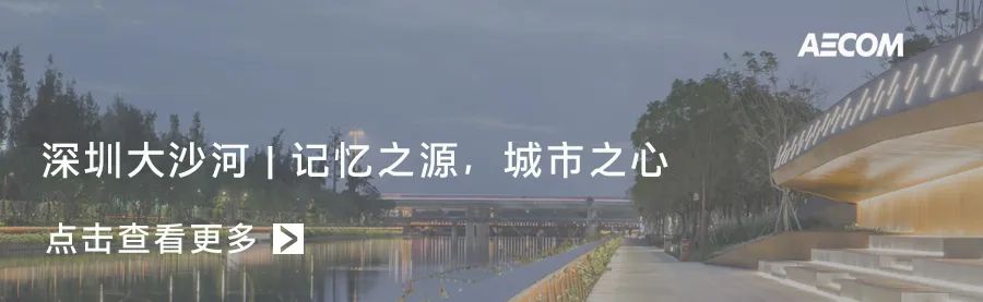 抚仙湖星空小镇 | 生态修复的人与自然和谐共生典范-108