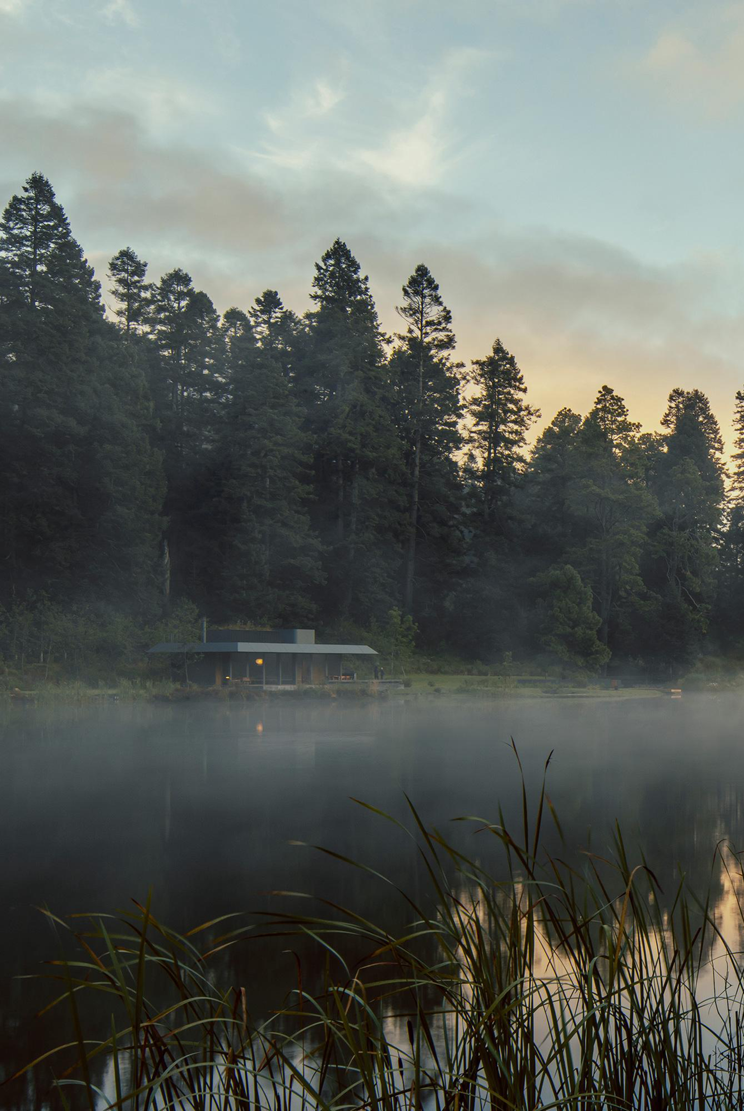 埃尔埃斯皮诺别墅景观丨墨西哥丨Dirección 设计工作室-72