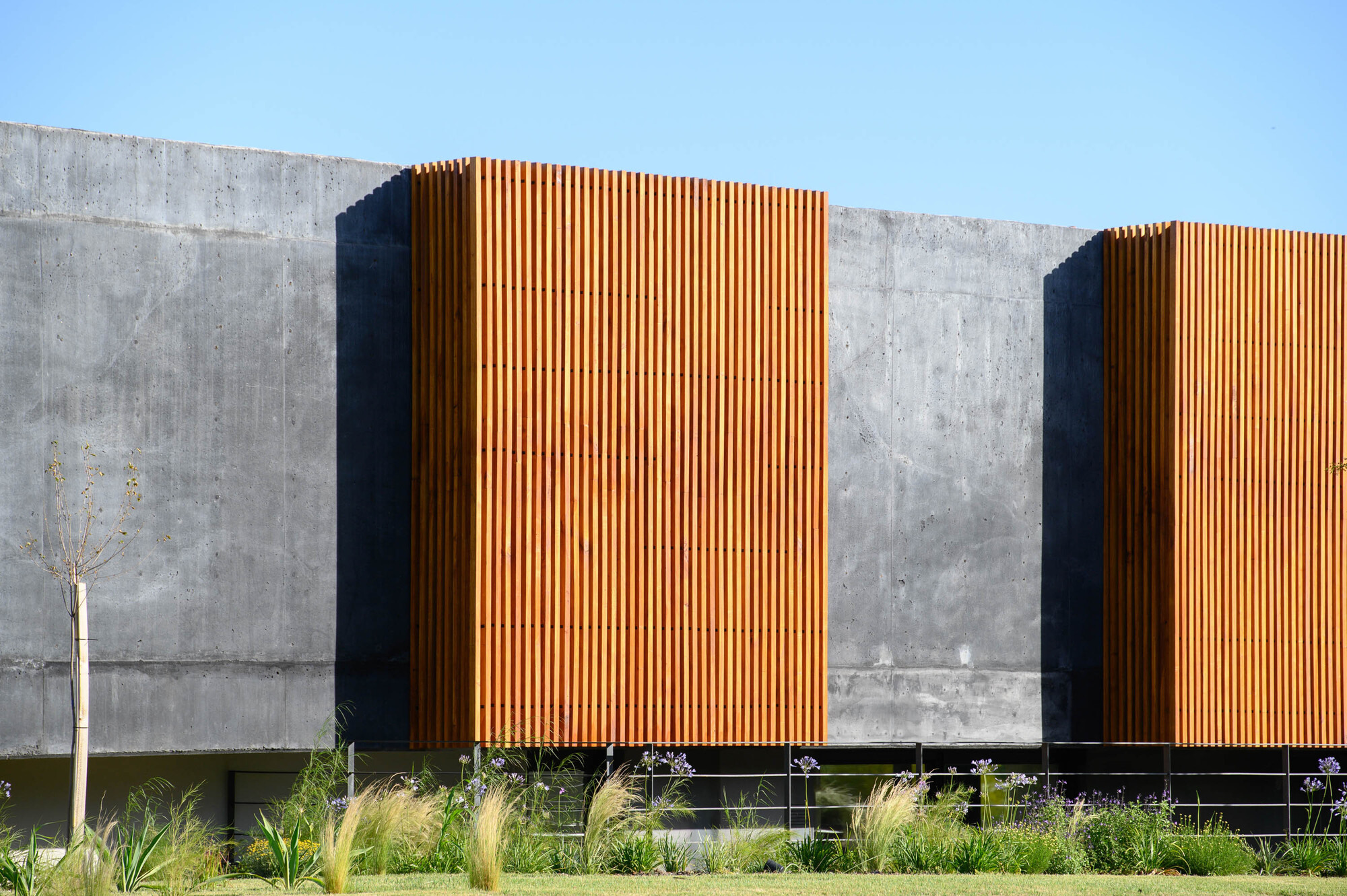 黑房子 或 黑色房屋 丨阿根廷科尔多瓦丨AR Arquitectos-19