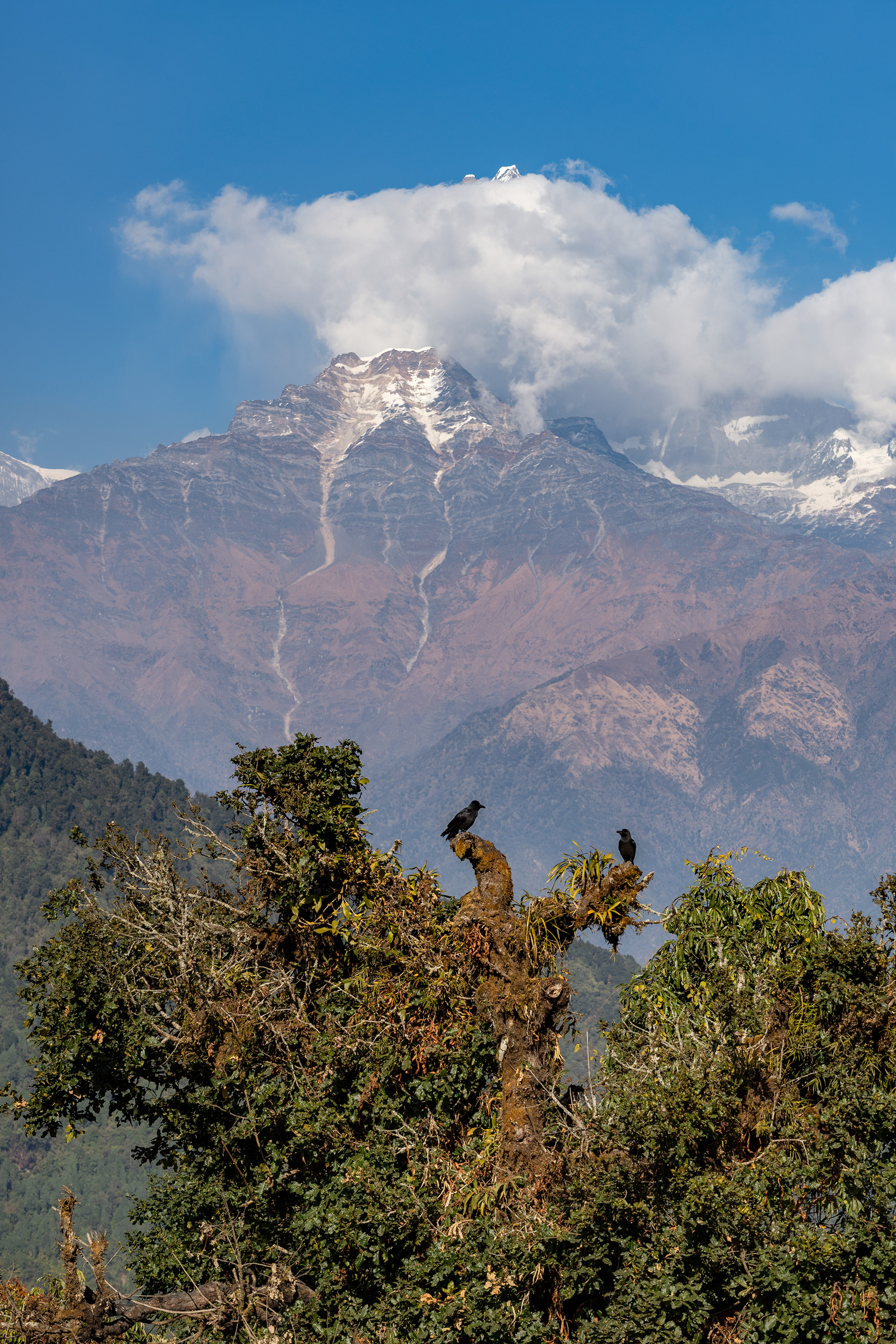 博克拉及周边地区丨尼泊尔丨KIRILL TSYBENKO-45