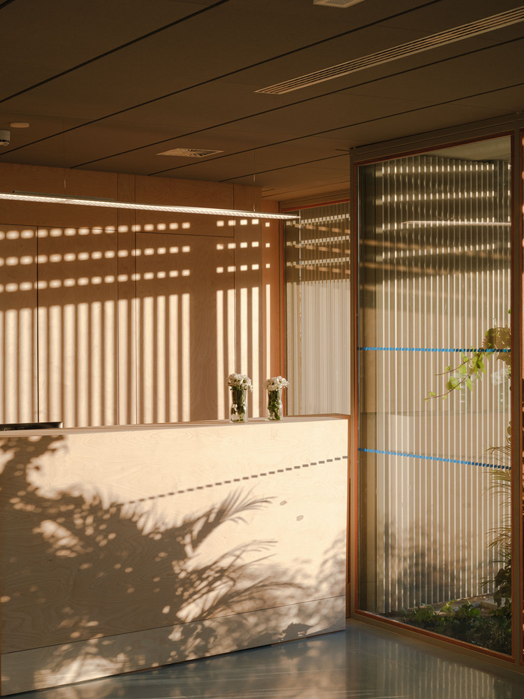 西班牙 Rosalind 办公大楼丨冈萨雷斯初级研究-29