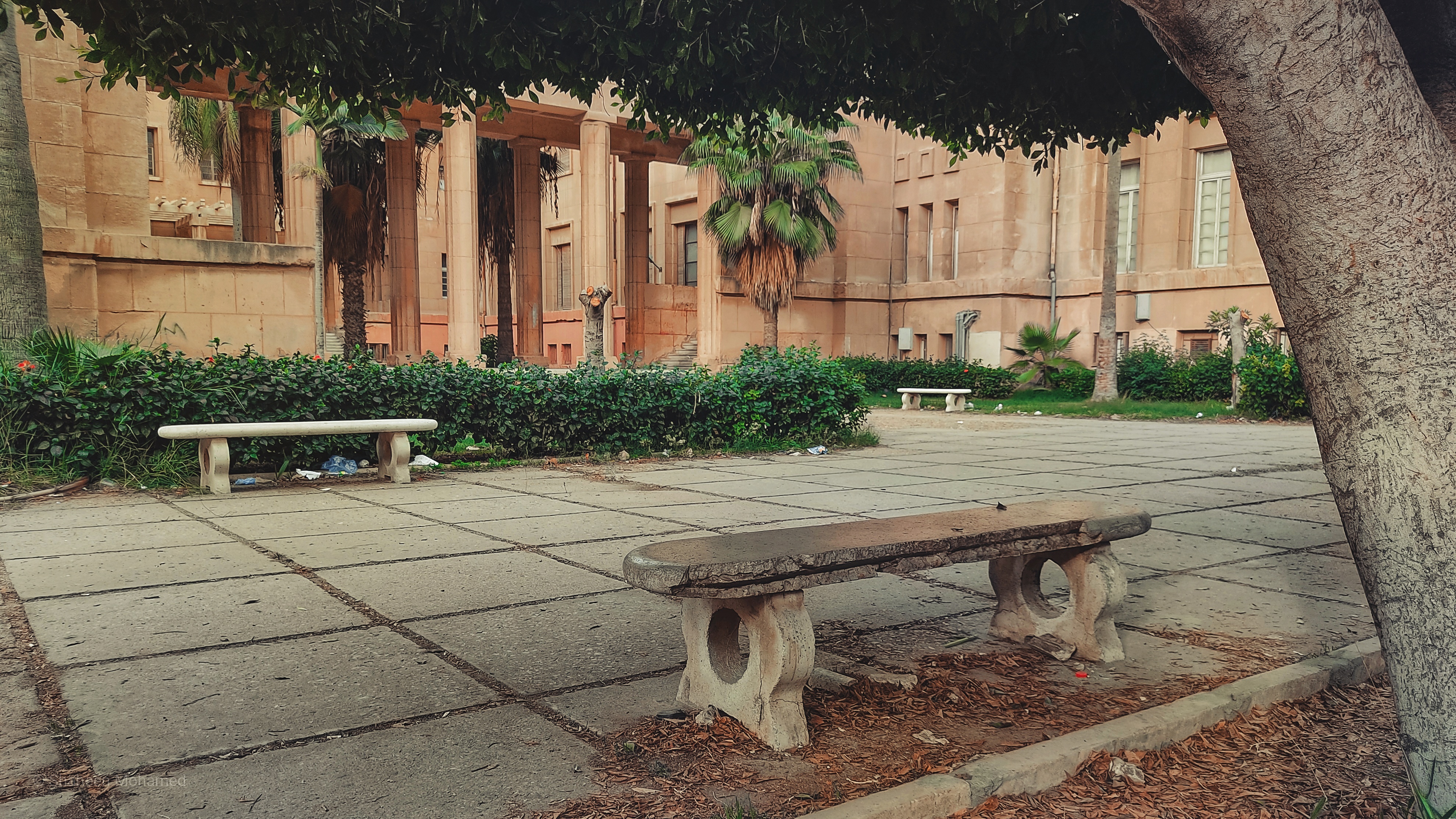 A Scattered Soul l Second Chapter-10