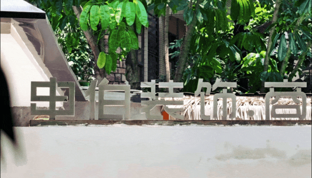 暑去秋来,申伯焕新|预告一场空间改造-2