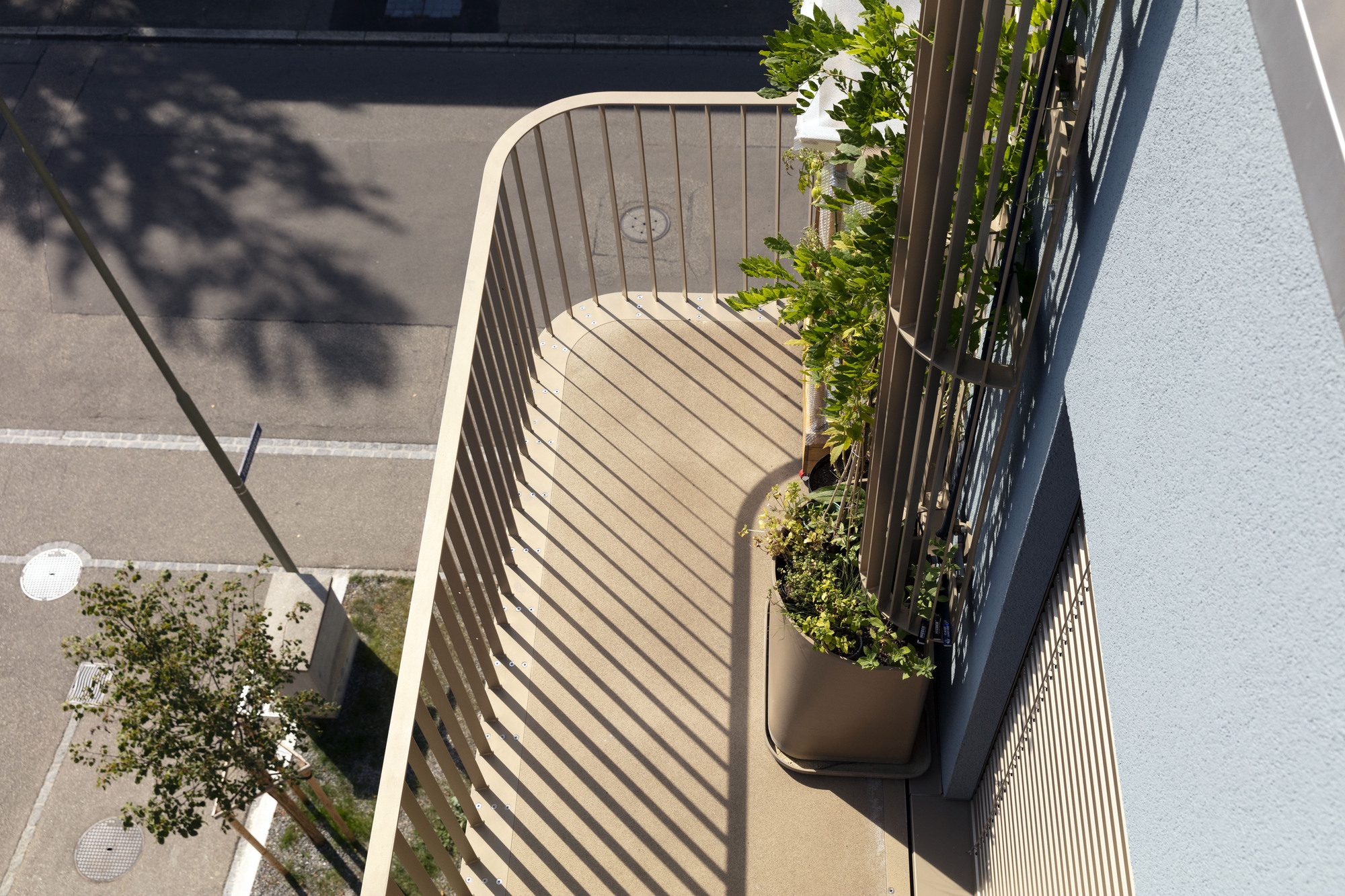 新林登花园大楼丨瑞士丨Volpatohatz-38