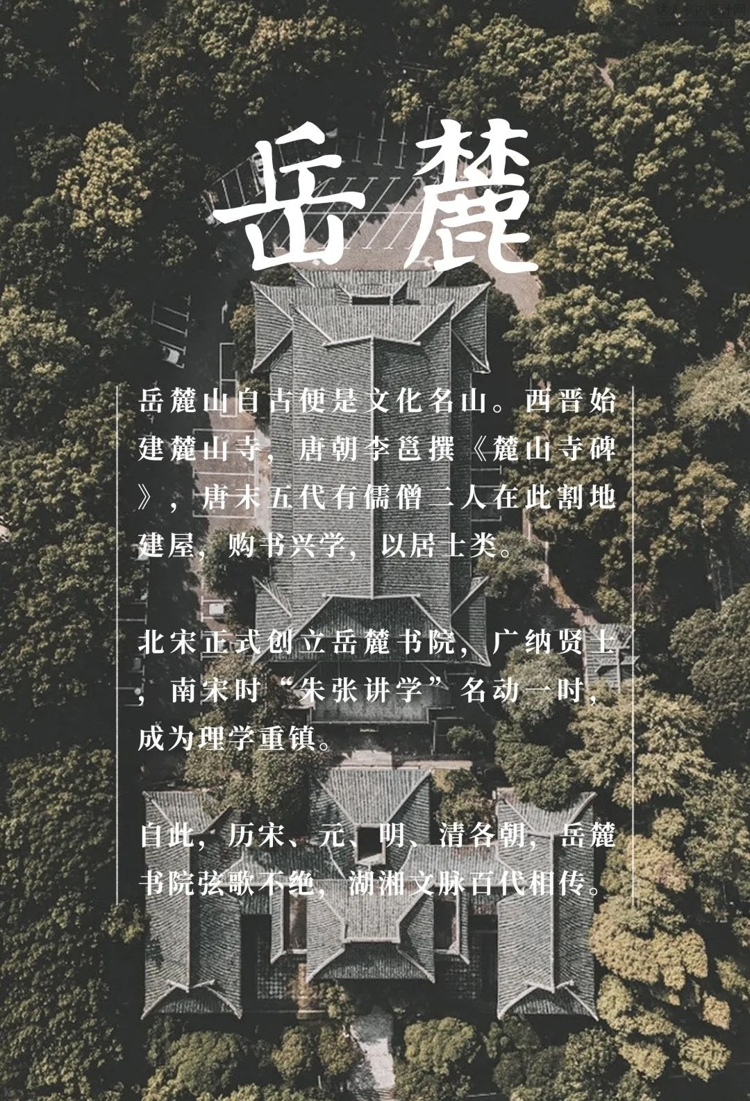 长沙深业麓溪云境下叠别墅丨中国长沙丨共生形态-3