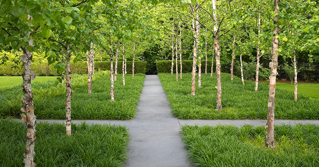 格林威治花园-3