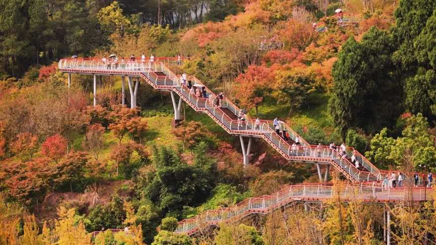 龙泉山森林公园丹景台景区丨中国成都丨CSWADI-17