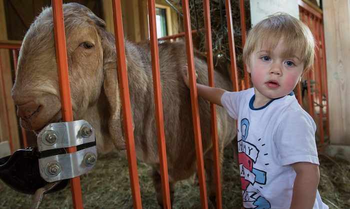 莫斯科“城市农场”丨俄罗斯莫斯科丨俄罗斯建筑事务所Wowhaus-24