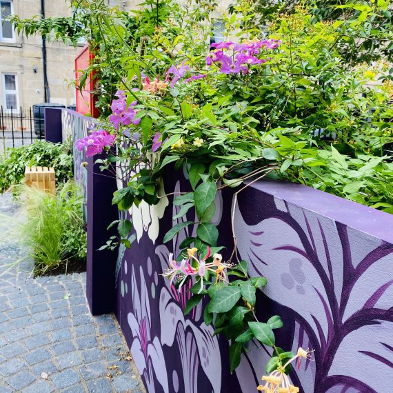 奥威尔村舍花园丨英国爱丁堡-3