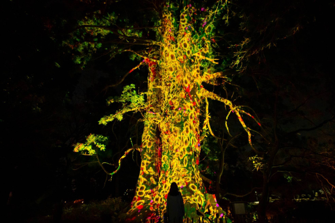 teamLab偕乐园光之祭丨日本-46