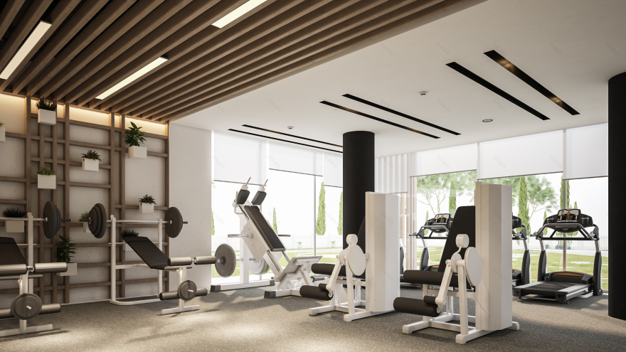 Modern Gym-7