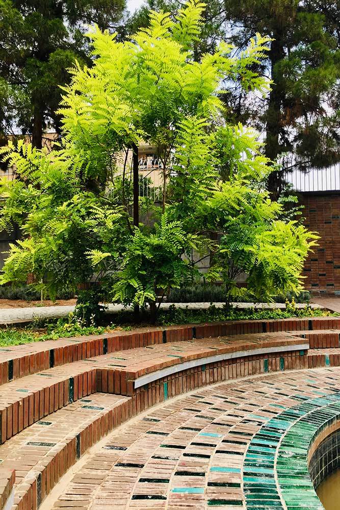 بوستان سه کنج(波斯语,可音译为“三角落花园”)丨伊朗-55