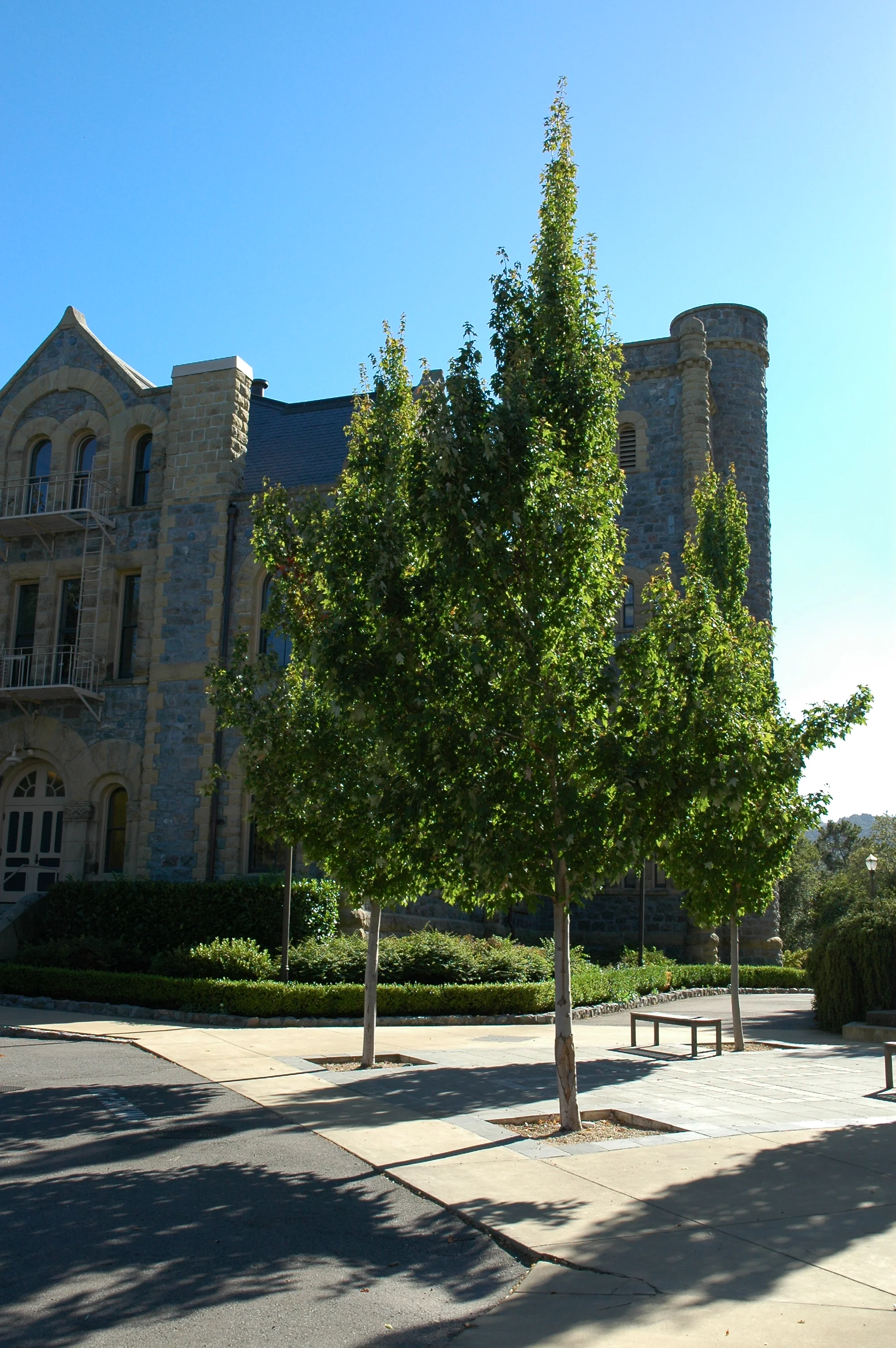 旧金山神学院丨美国加利福尼亚丨Architectural Resource Group（ARG）-1