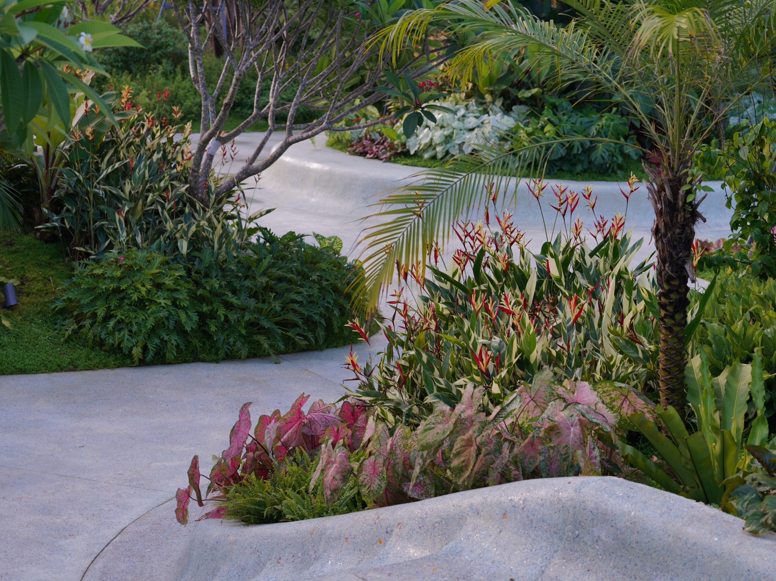 三亚海棠河生态公园（二期）·热带奇趣园丨中国三亚丨LOLA Landscape Architects B.V.-37