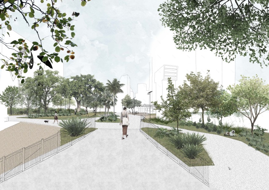 城市生物群丨巴西圣保罗-22