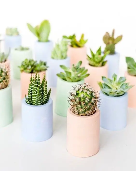 四季之窗 | 打造随季节变化的窗台装饰-4