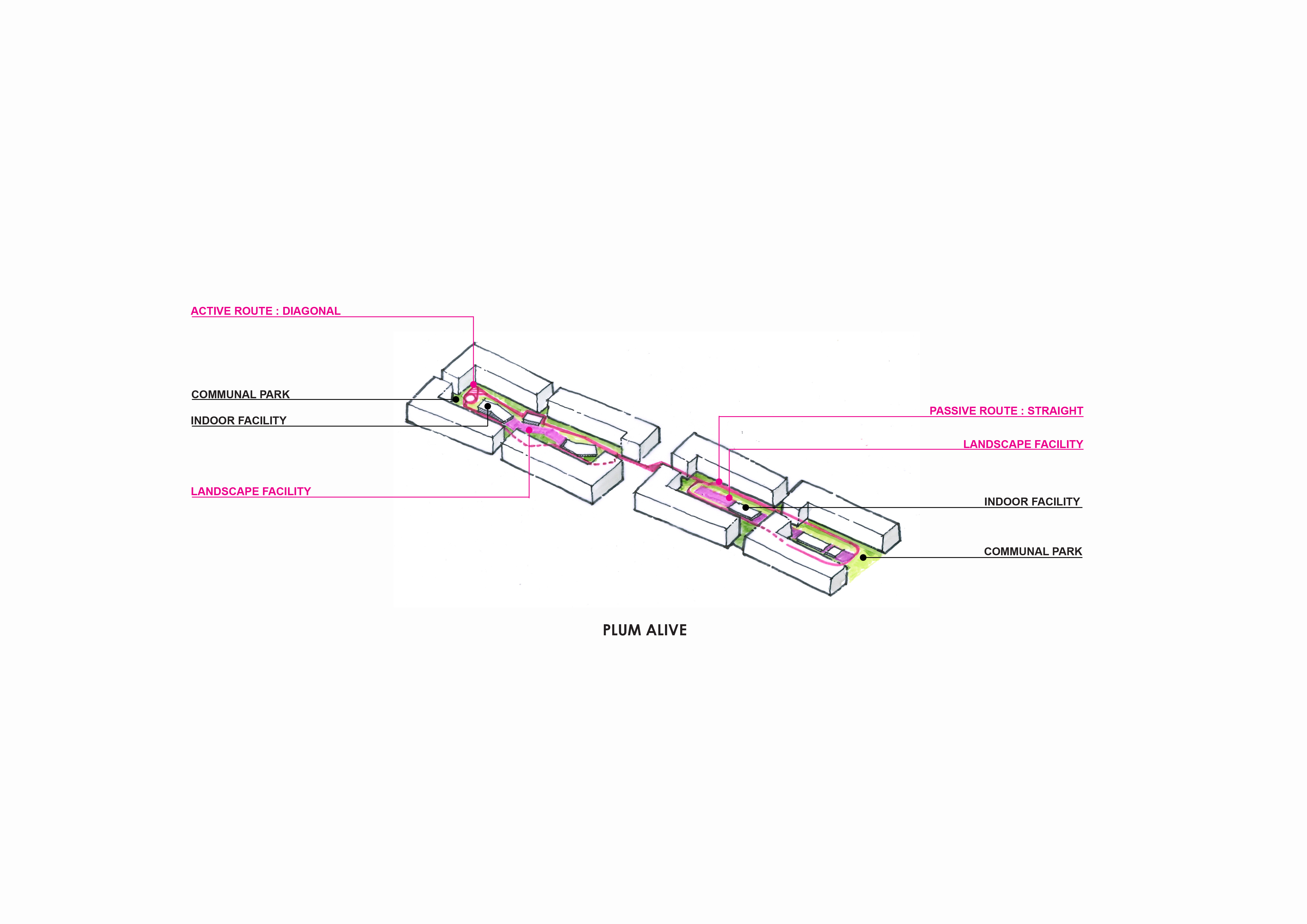 普拉姆兰实活跃 1 号公寓丨泰国曼谷丨VVdesine Landscape Architect-11