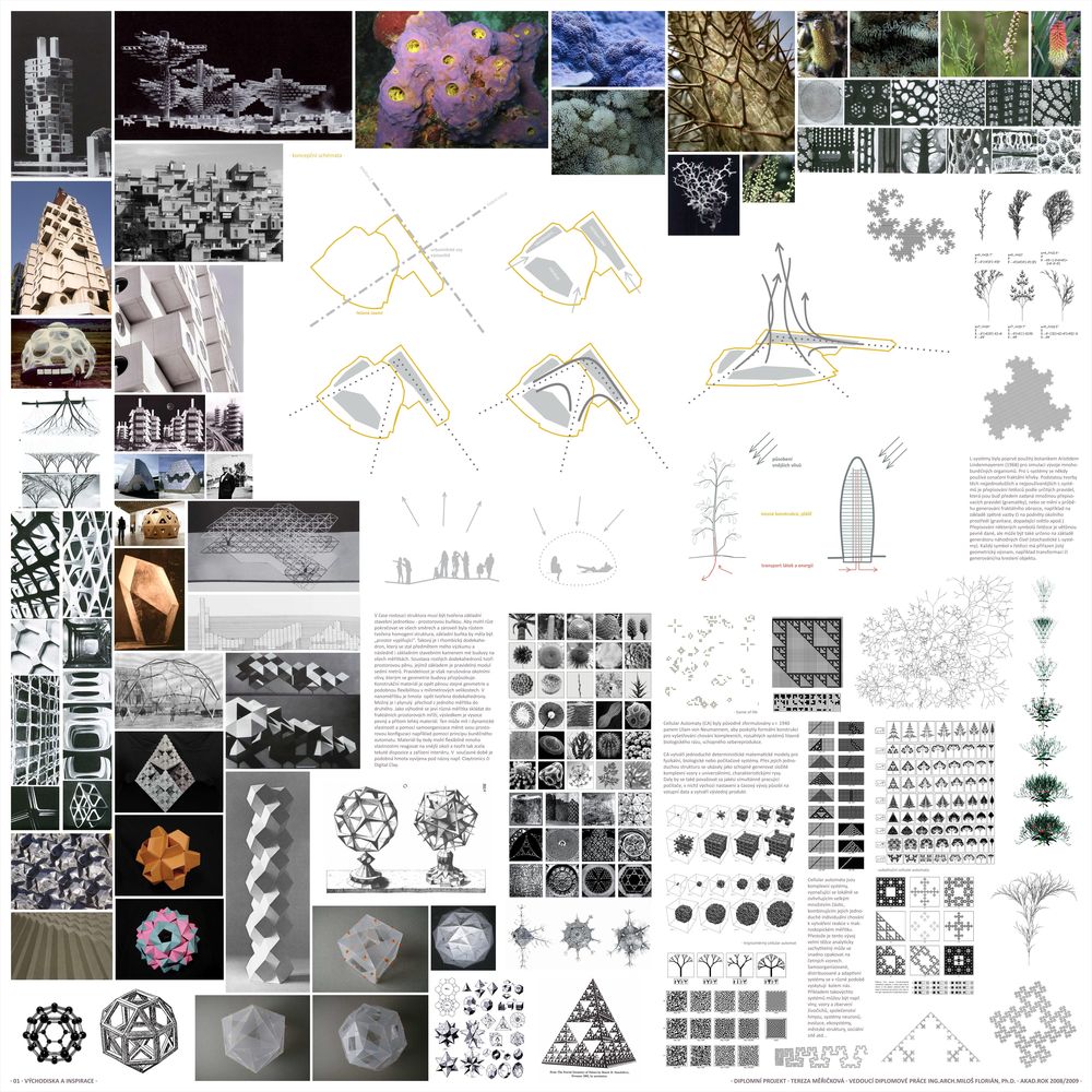 丨Tereza Měřičková-20