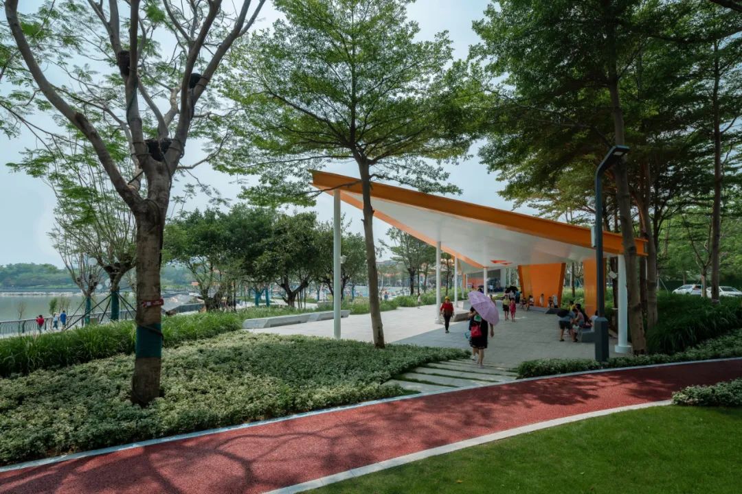 回归岭南水岸生活 | 东莞龙湾生态湿地公园-24