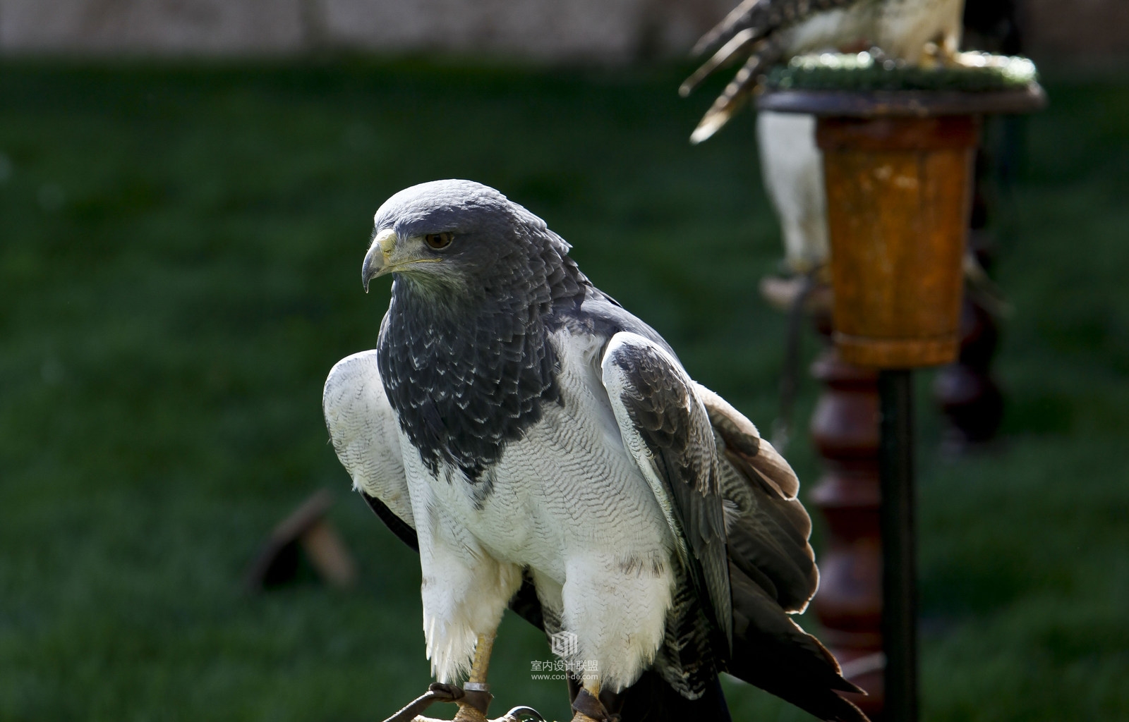西班牙杜埃罗河谷庄园酒店-13