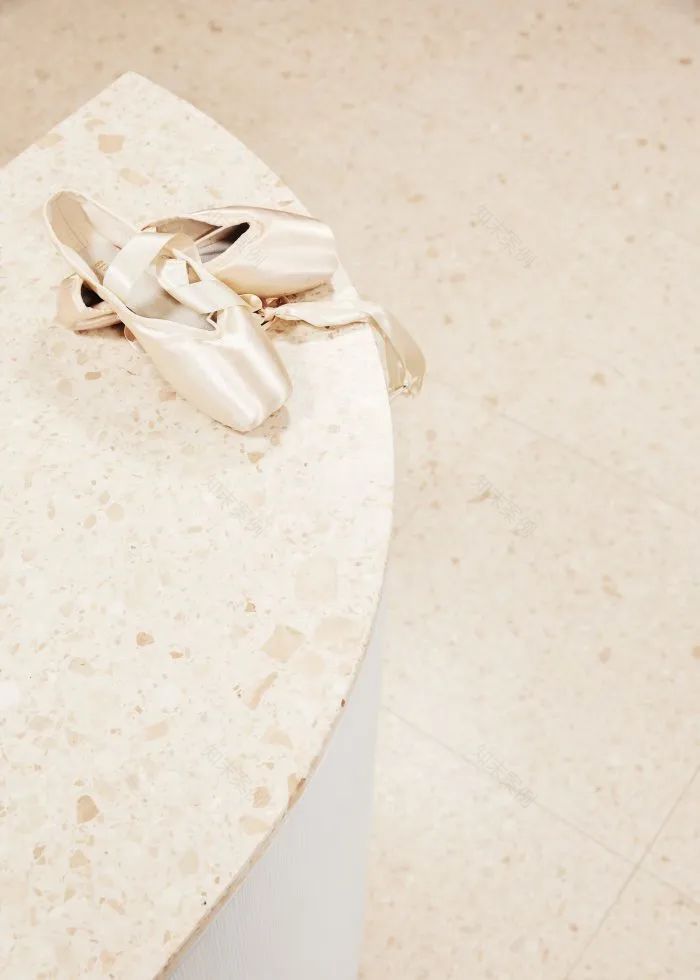 澳大利亚芭蕾舞团总部翻新工程丨澳大利亚墨尔本丨HASSELL-27