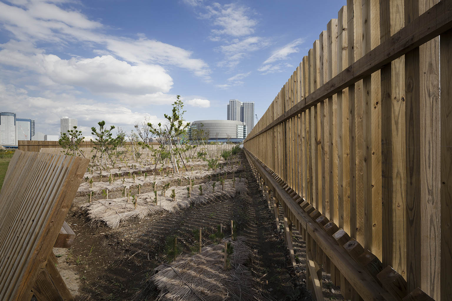 东京湾中心 · 绿色交叉项目丨日本东京丨三谷彻等-24