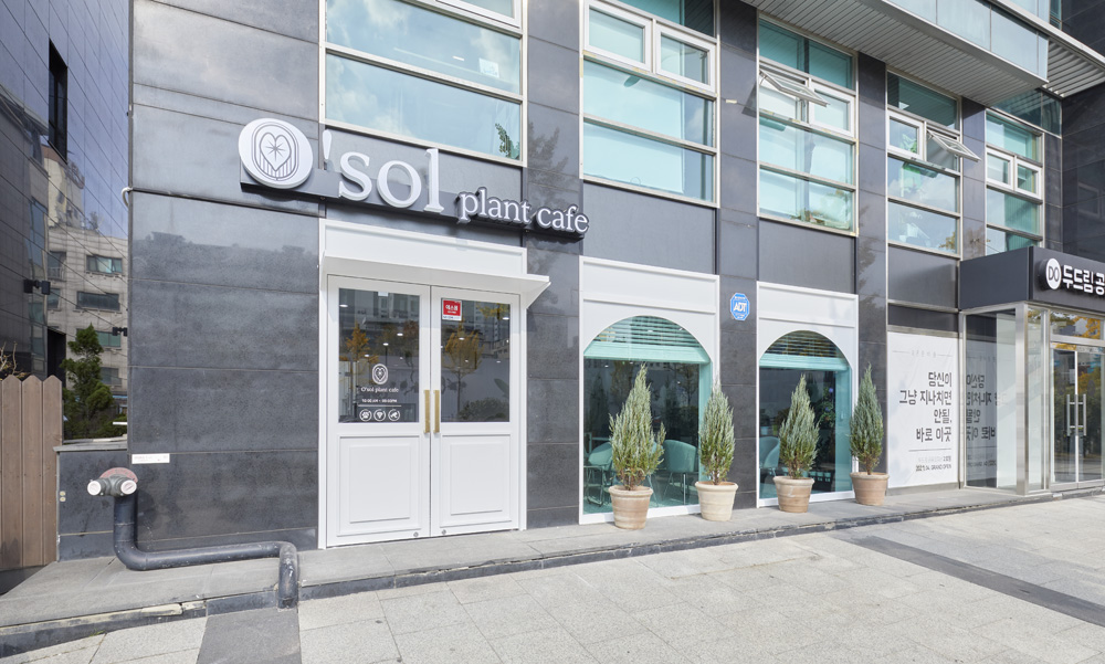 现代植物咖啡厅，30 平米空间里的绿色美学-3