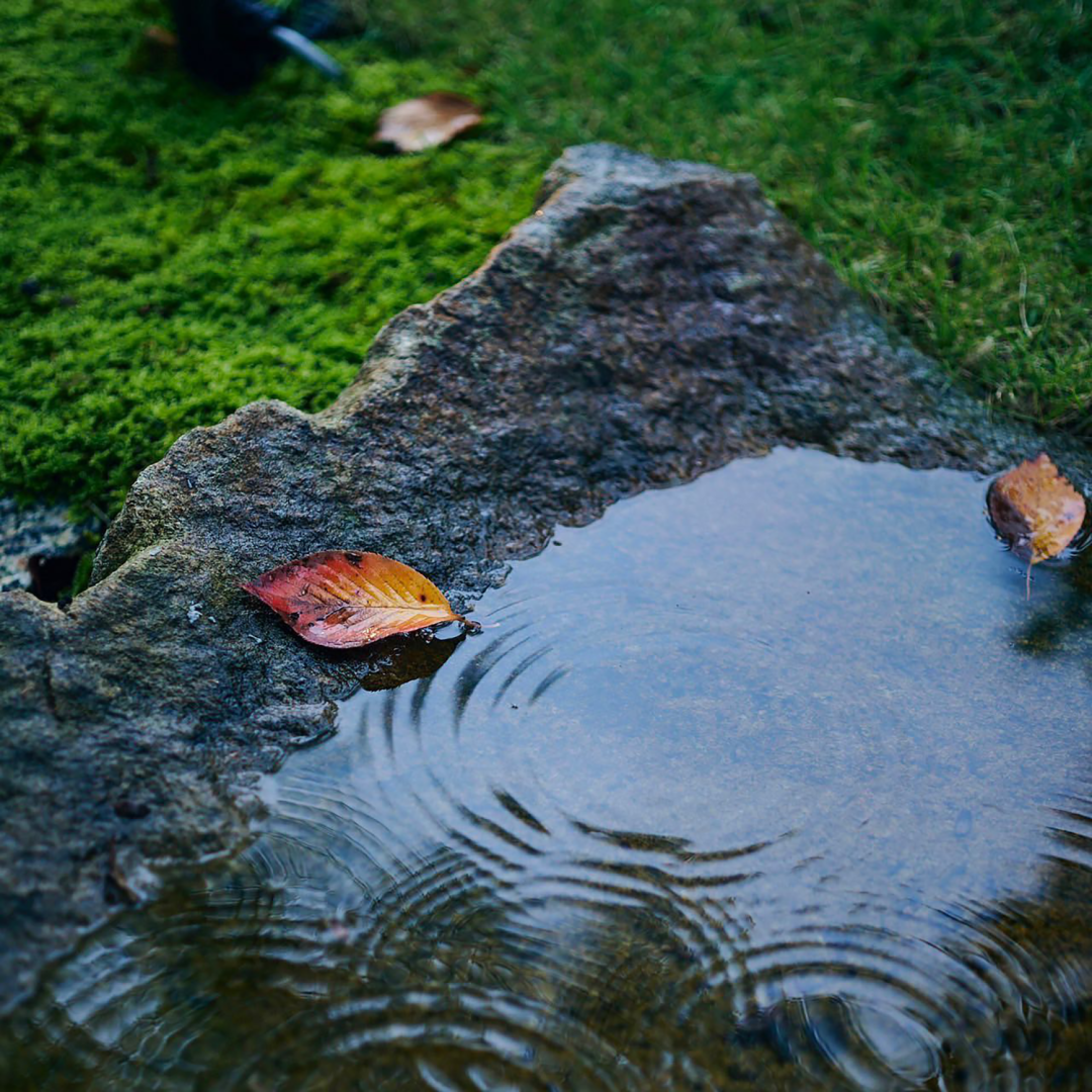 suimontei(翠門亭)民宿设计丨日本奈良-33