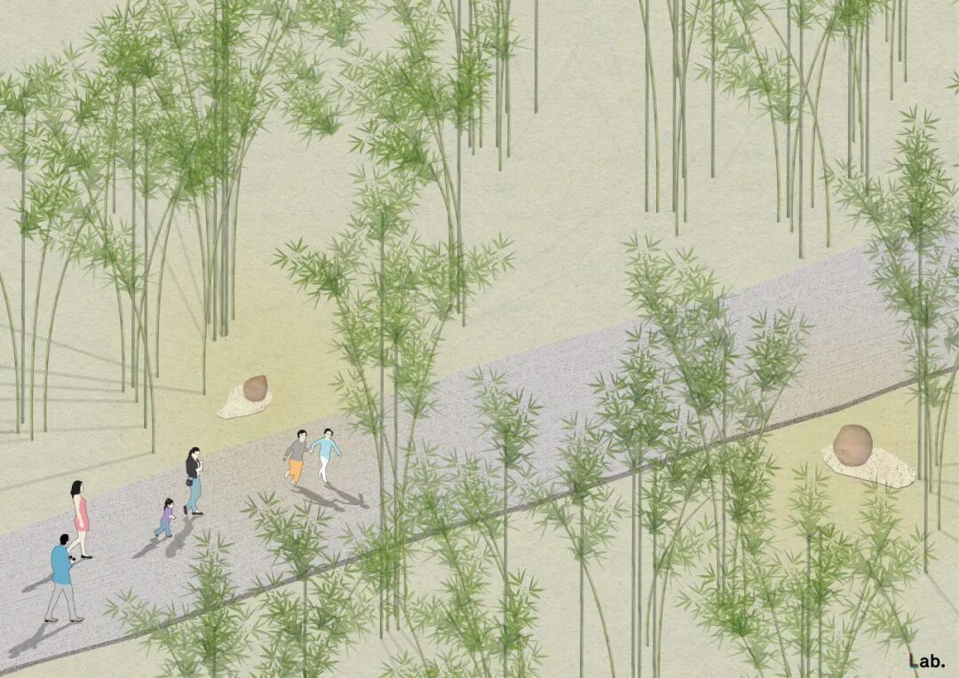 你以为竹子的极限和竹子真正的极限-28