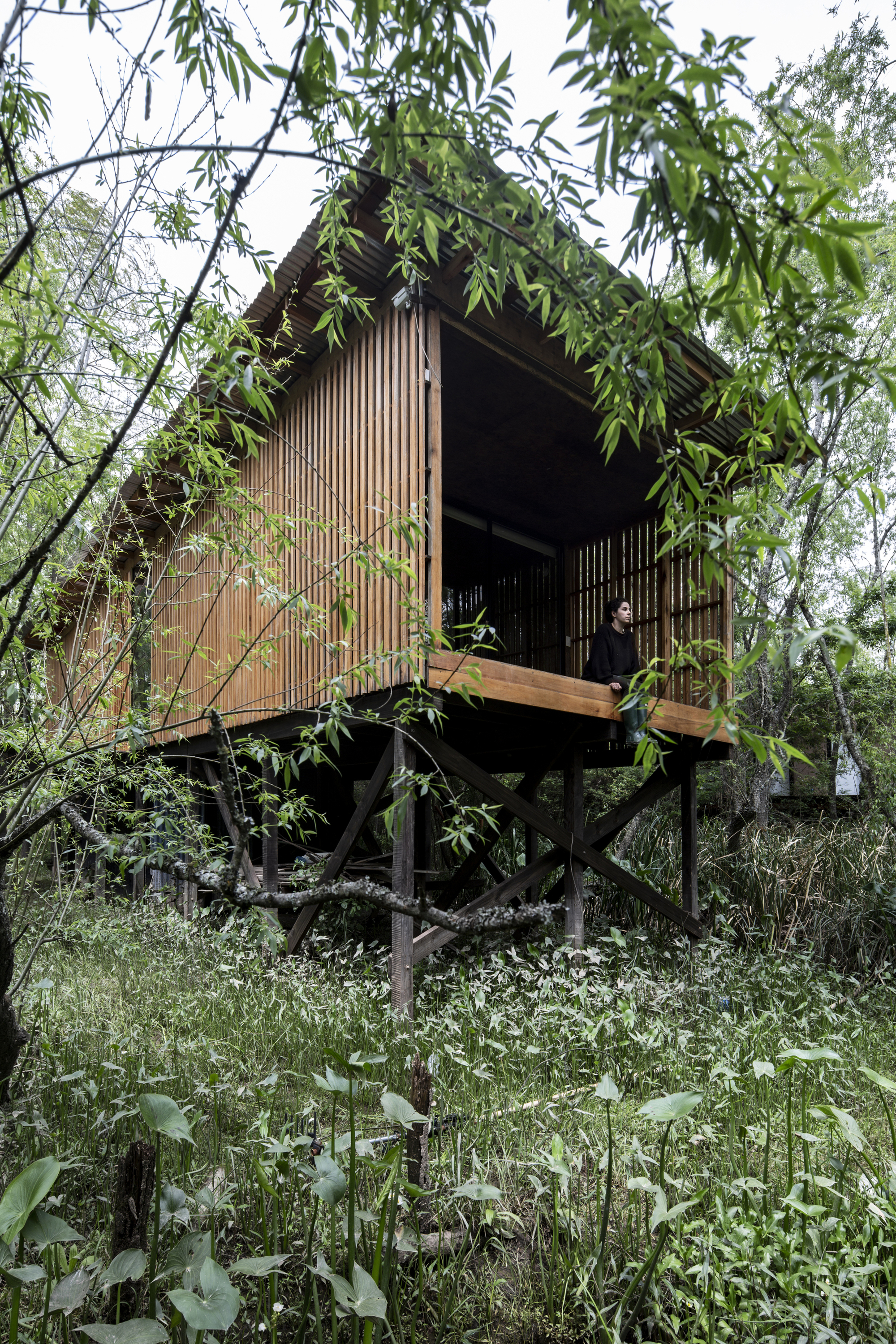 House in Delta Buenos Aires / Matías Cosenza Arquitecto-10