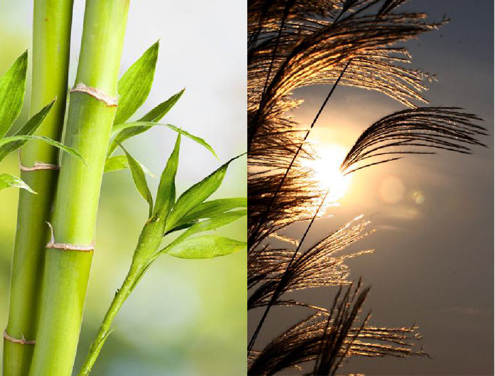 湖南益阳璞轩餐饮空间设计 | 融合山水竹茶文化的现代美学-24