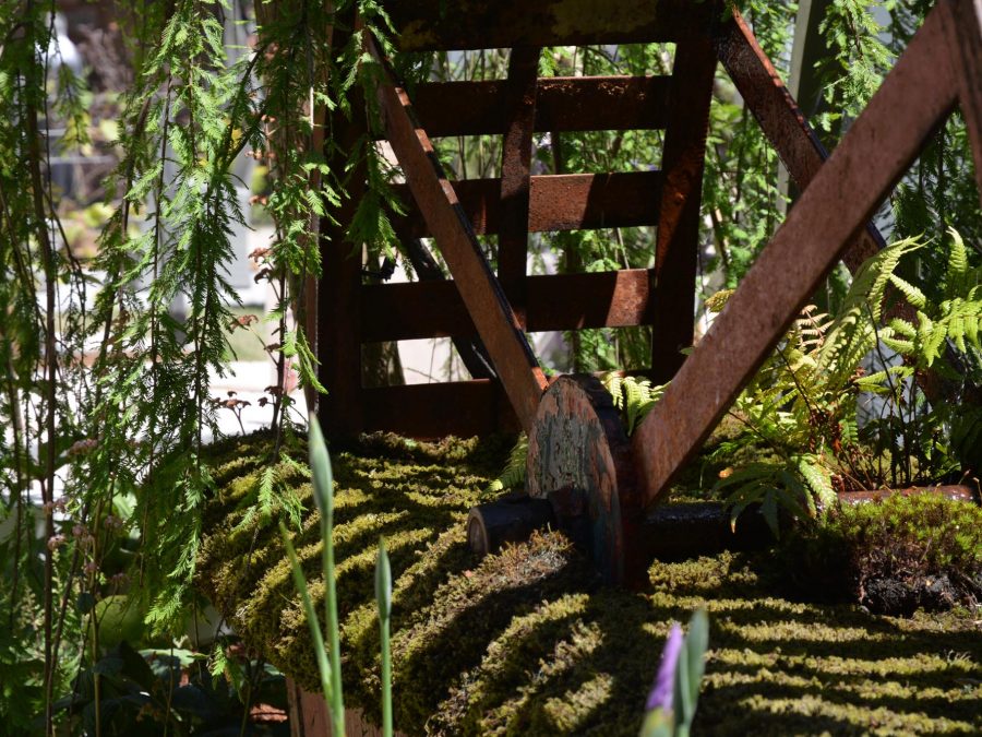 Eau de bonheur - Didier Danet - Entreprise Paysagiste-52