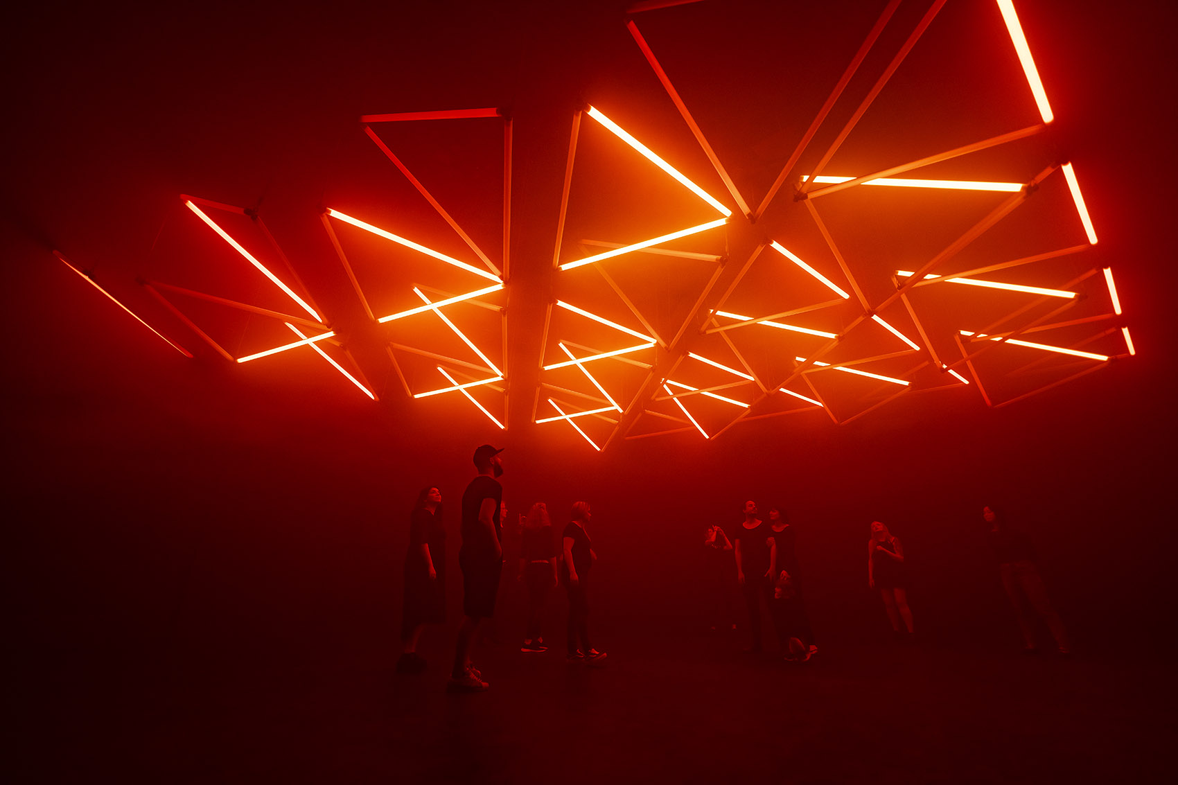 《暗物质2026  四季森林》展览丨德国丨Christopher Bauder + Chris Kuijten-75