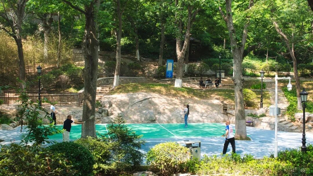 百姓乐园：榉林山焕新归来，悦享自然人文之美-11