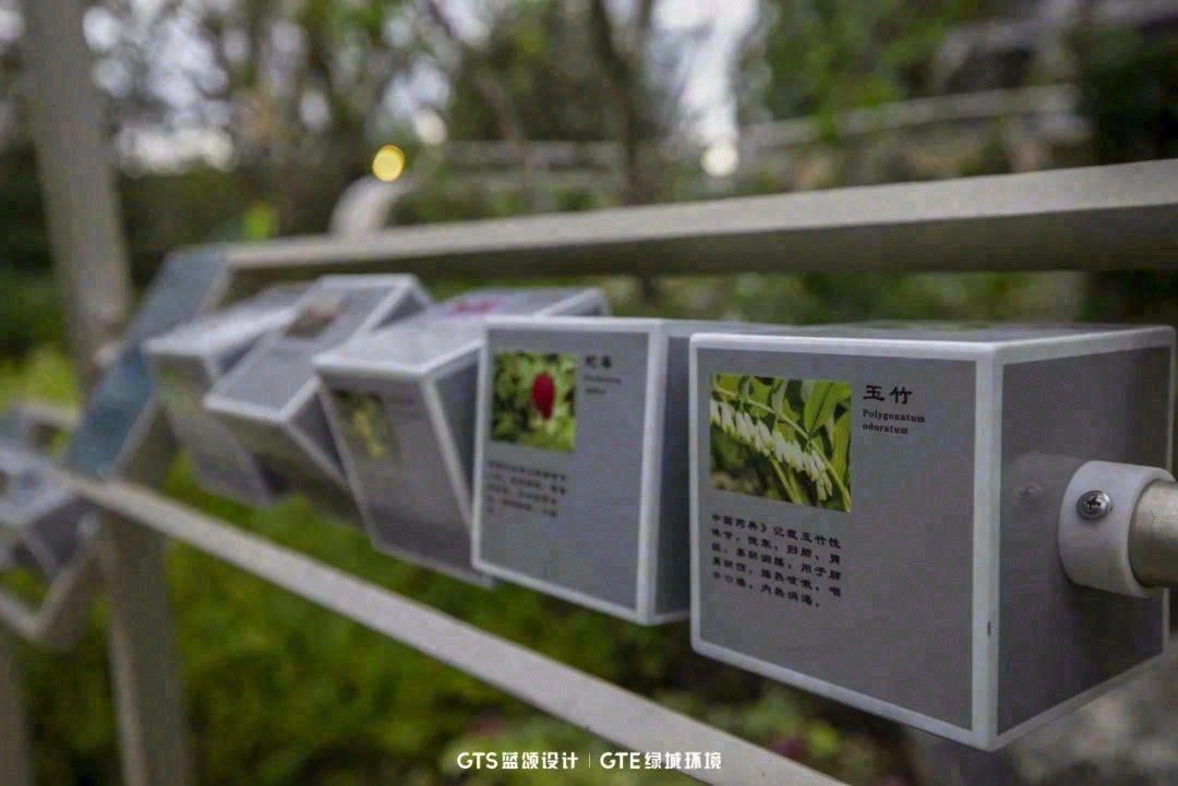 森活绿洲 无界共融·杭州杭樾润府丨中国杭州丨浙江蓝颂园林景观设计集团有限公司-36