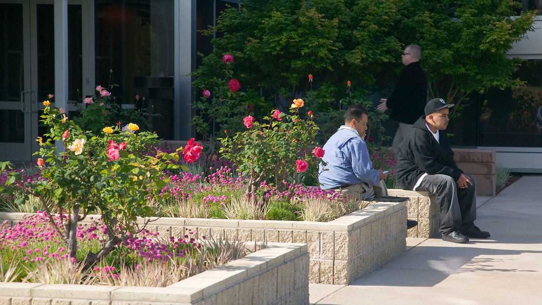 帕洛阿尔托医疗中心丨美国加利福尼亚丨SWA-4