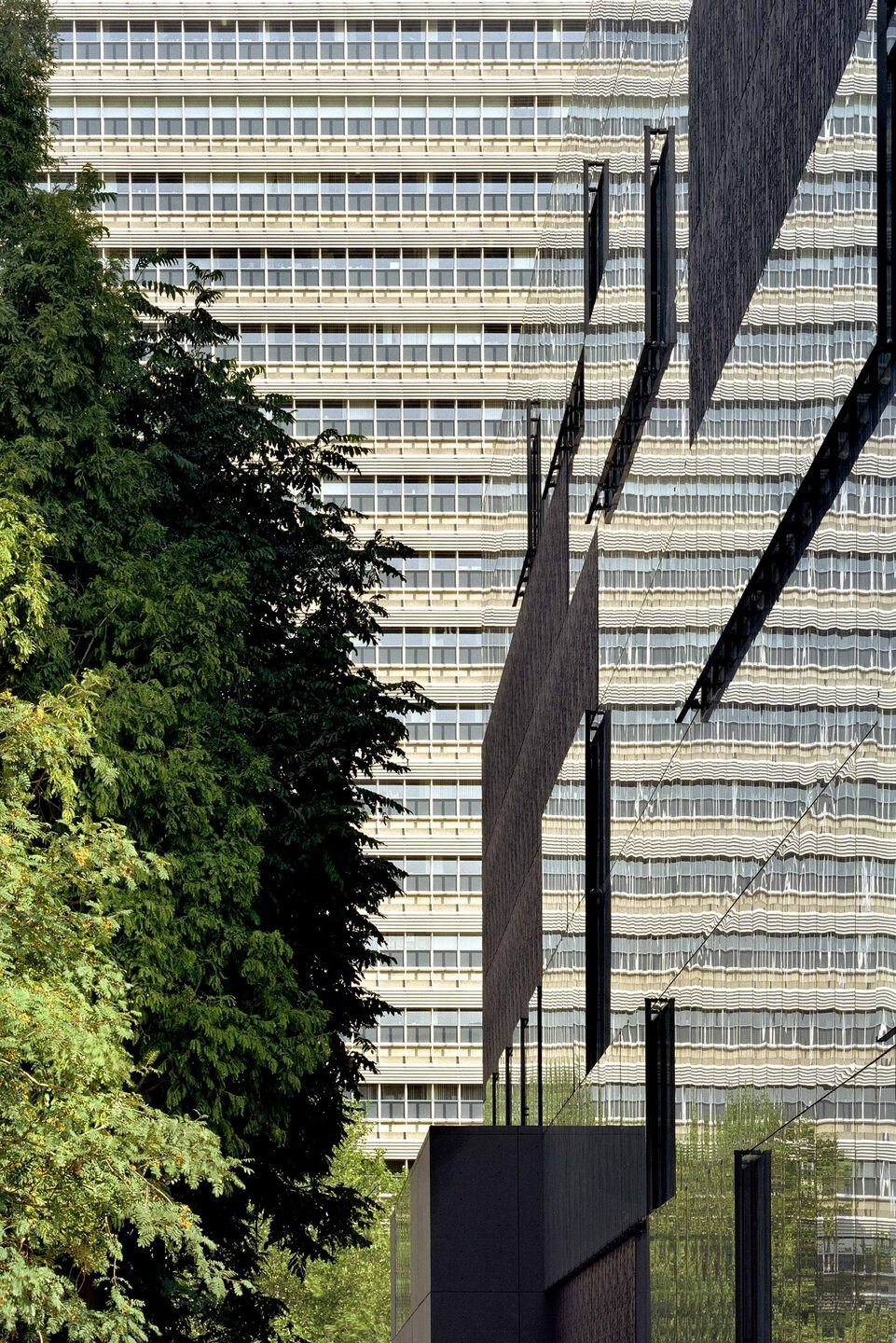 乌得勒支大学图书馆-22