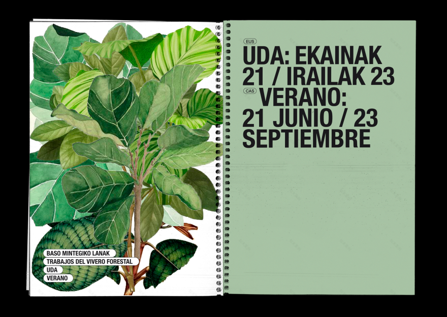 BOSQUE AUTÓCTONO 实地指南-17