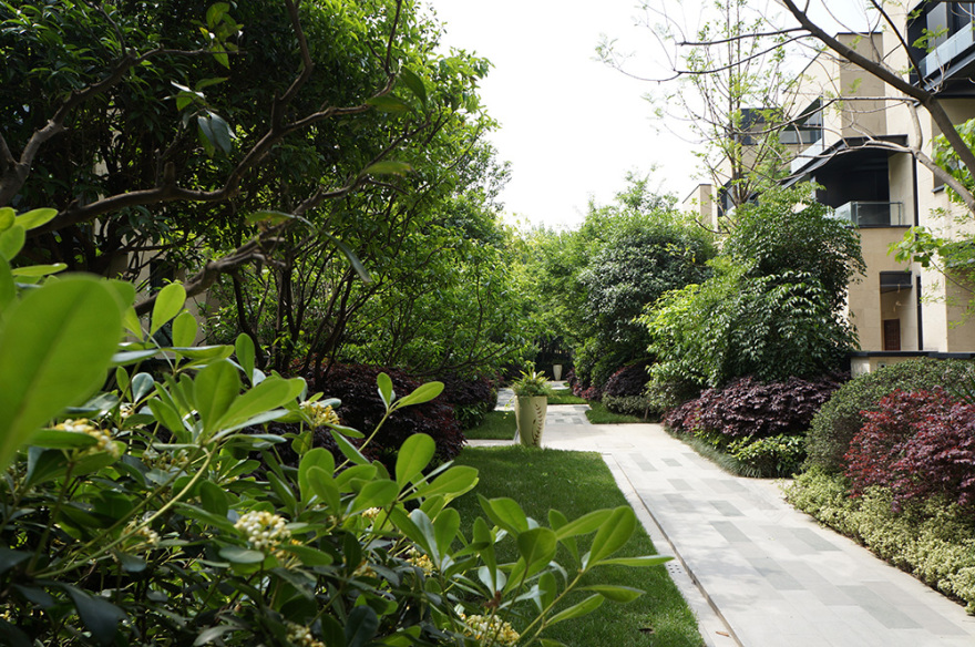 成都博瑞优品道丨L&A Design Group-16