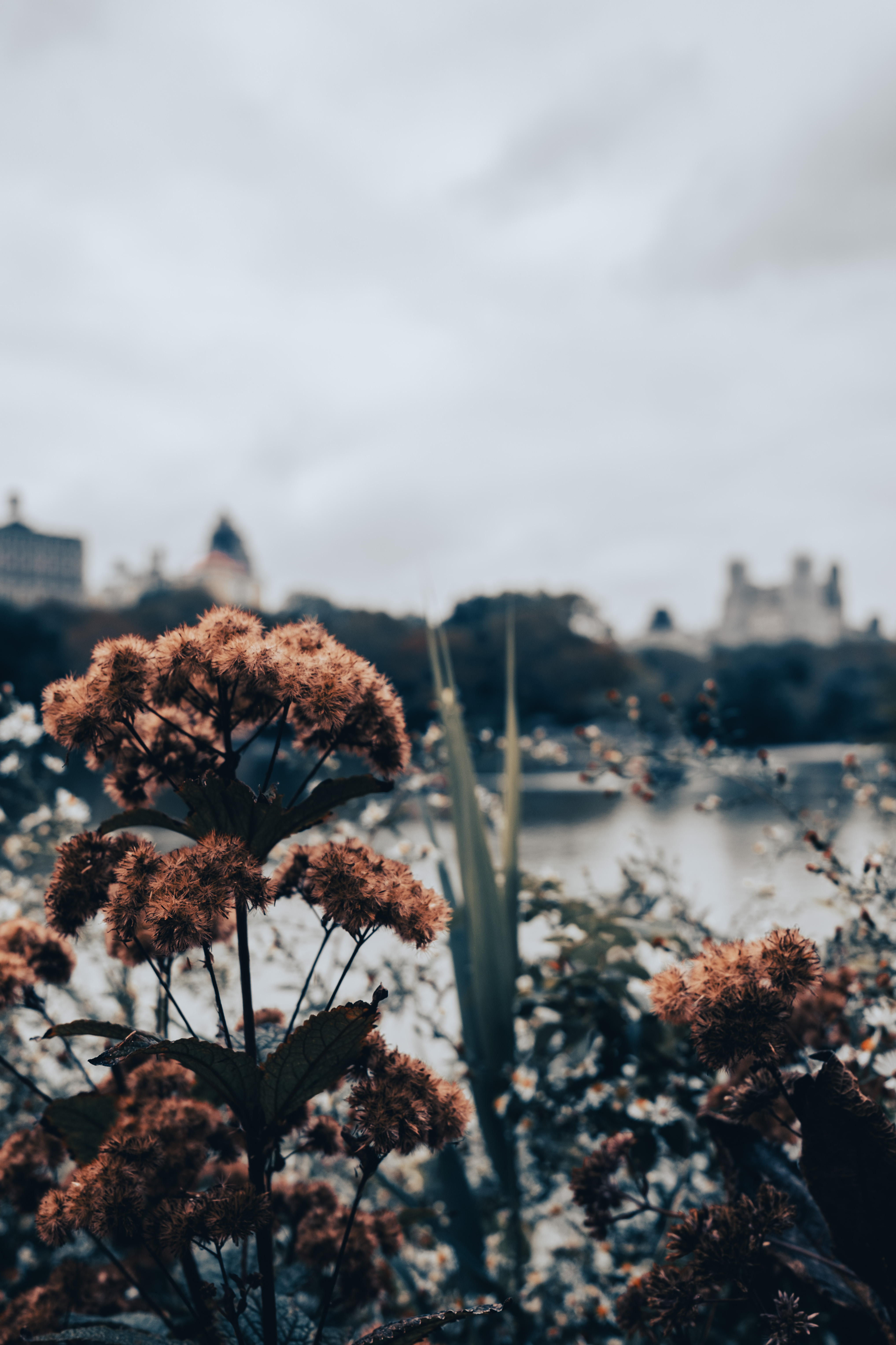 纽约人寿丨Luckman Production,Eduard Kudelich-4