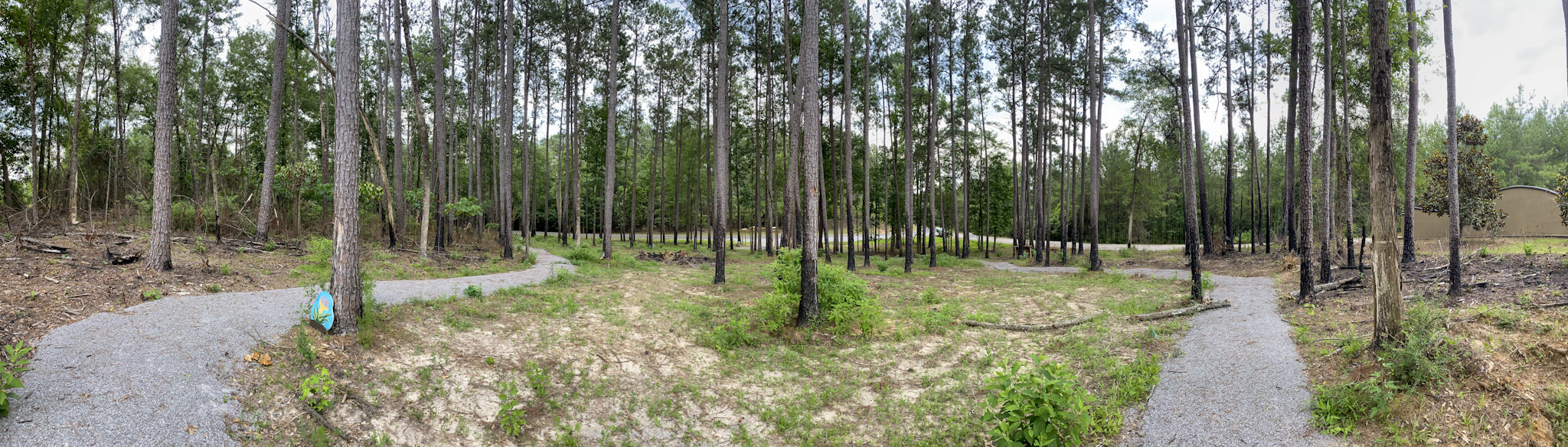 Ursa Major - Palmetto Island State Park 2022-2