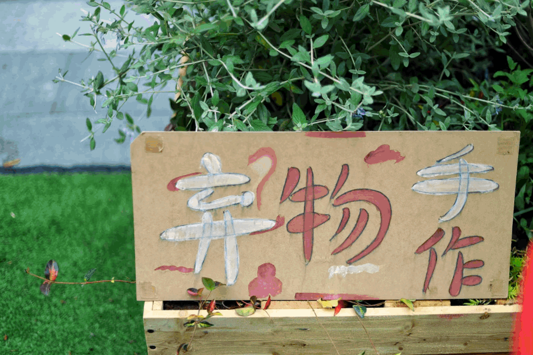 MINI花园中的弃物手作-2