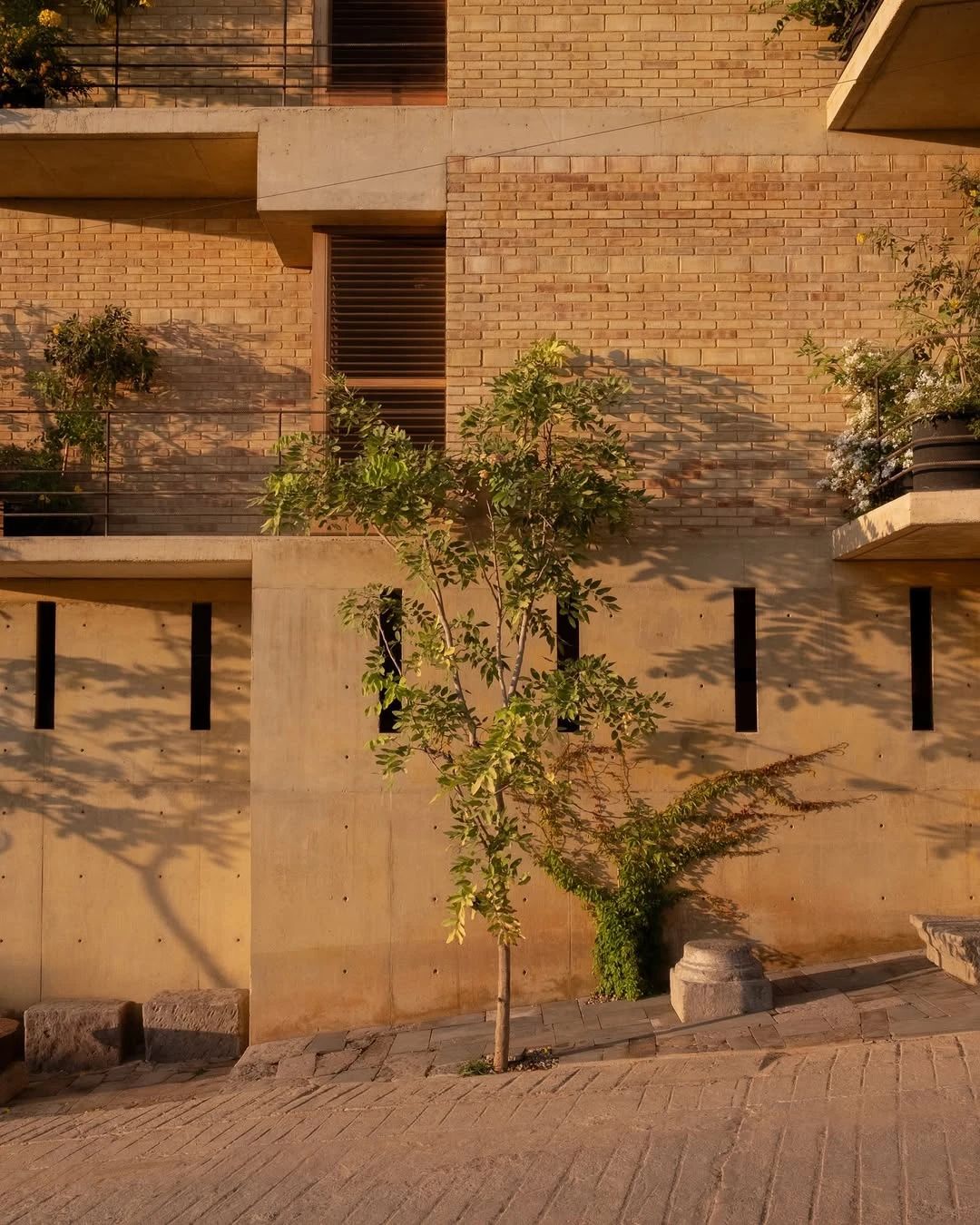 乌玛诺酒店丨墨西哥丨PLANTEA-46