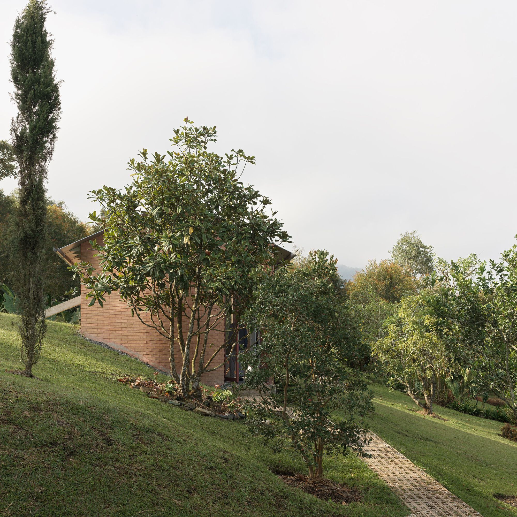 陶笛屋丨哥伦比亚丨LCLA Office-8