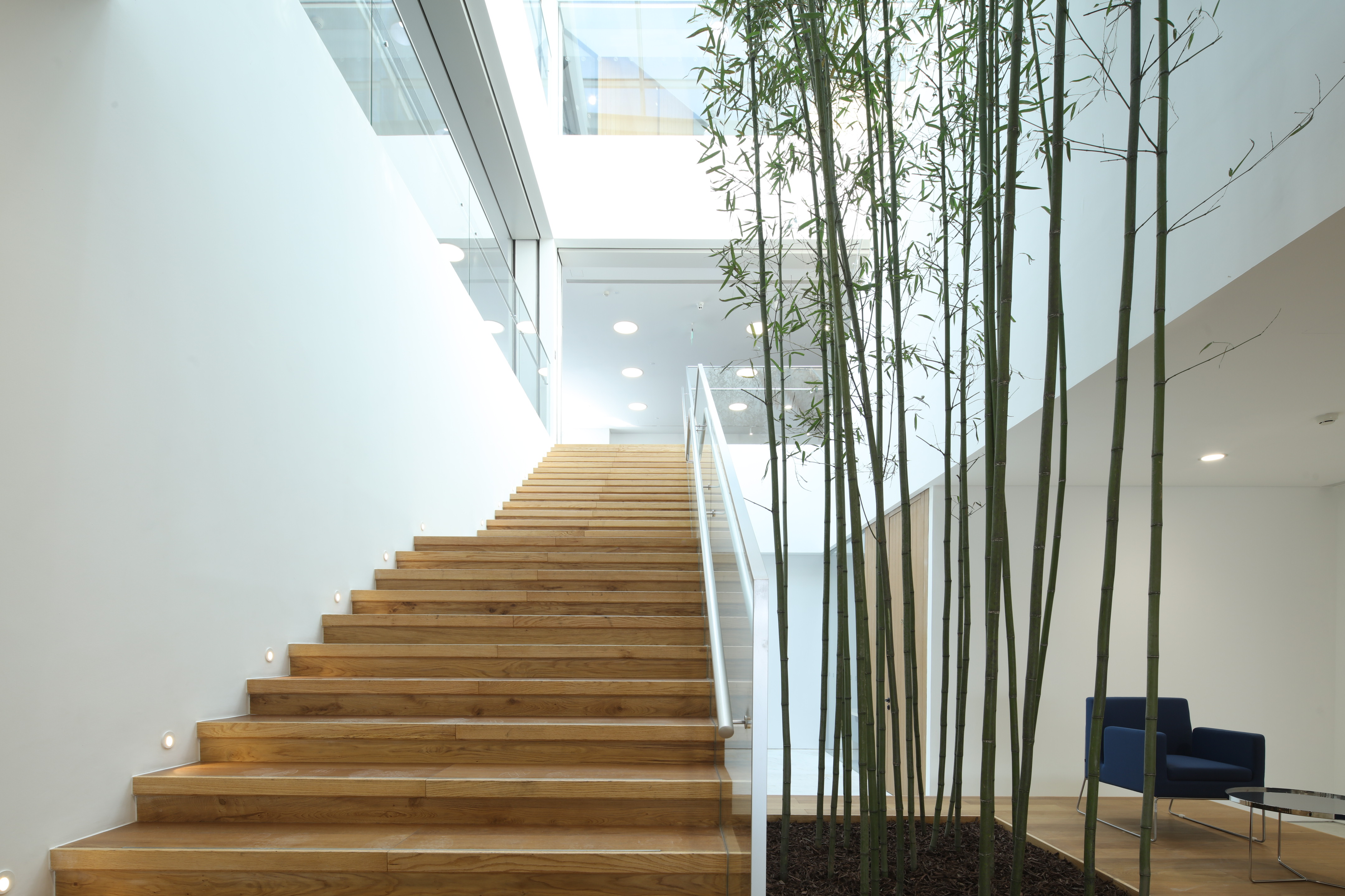 自然而然：老建筑里的办公空间再生 / CPLUS希加建筑 -7